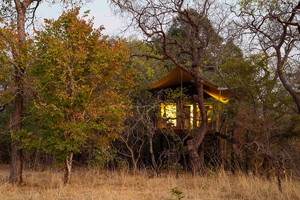 Fig Tree Bush Camp - Mukambi en Kafue
