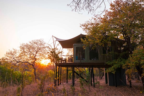 Fig Tree Bush Camp - Mukambi en Kafue