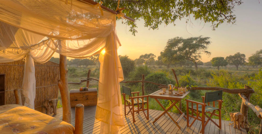 Flatdogs Jackalberry Treehouse en Luangwa Valley