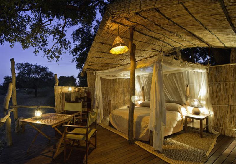 Flatdogs Jackalberry Treehouse en Luangwa Valley