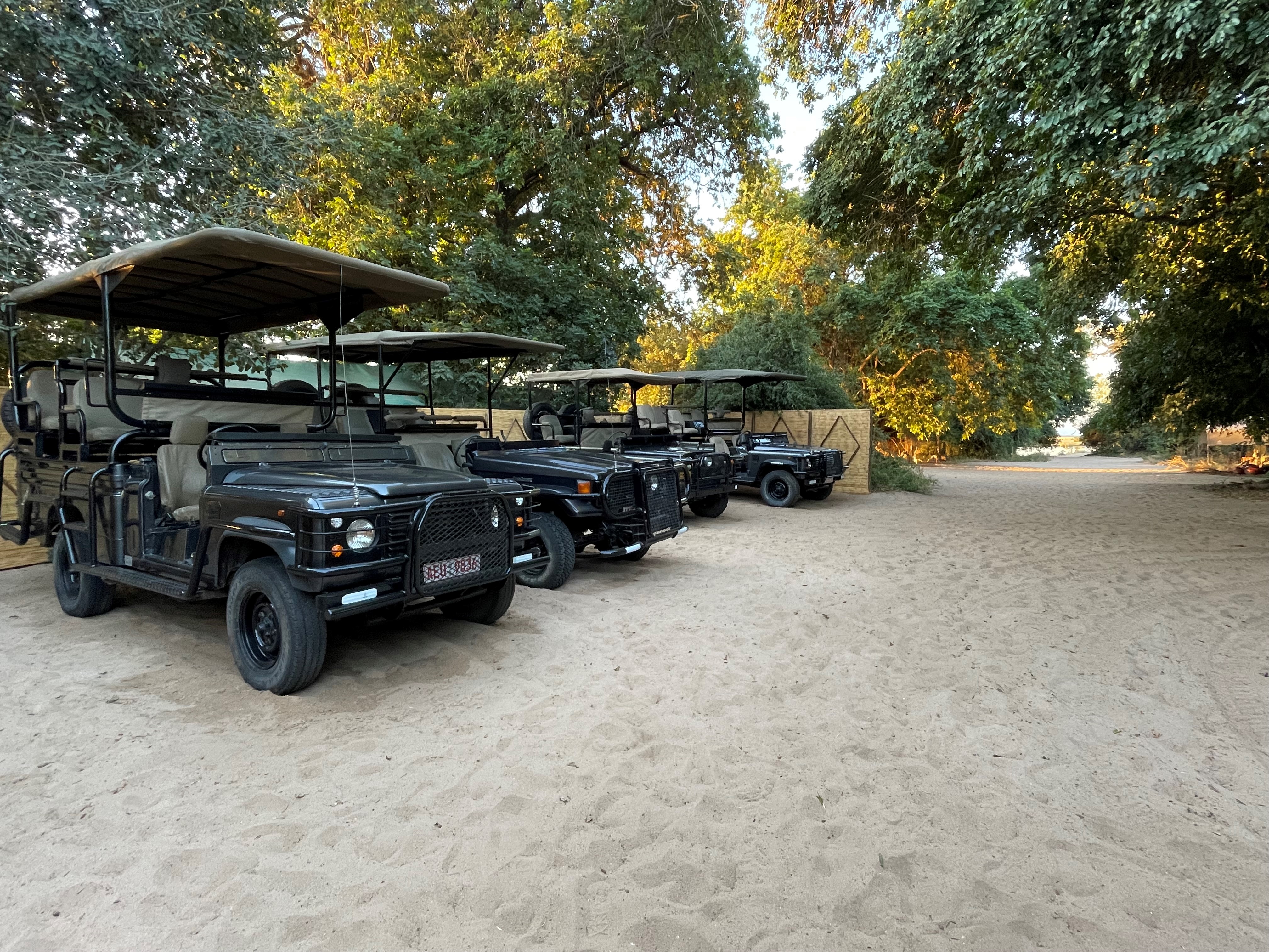 Goliath Camp en Mana Pools