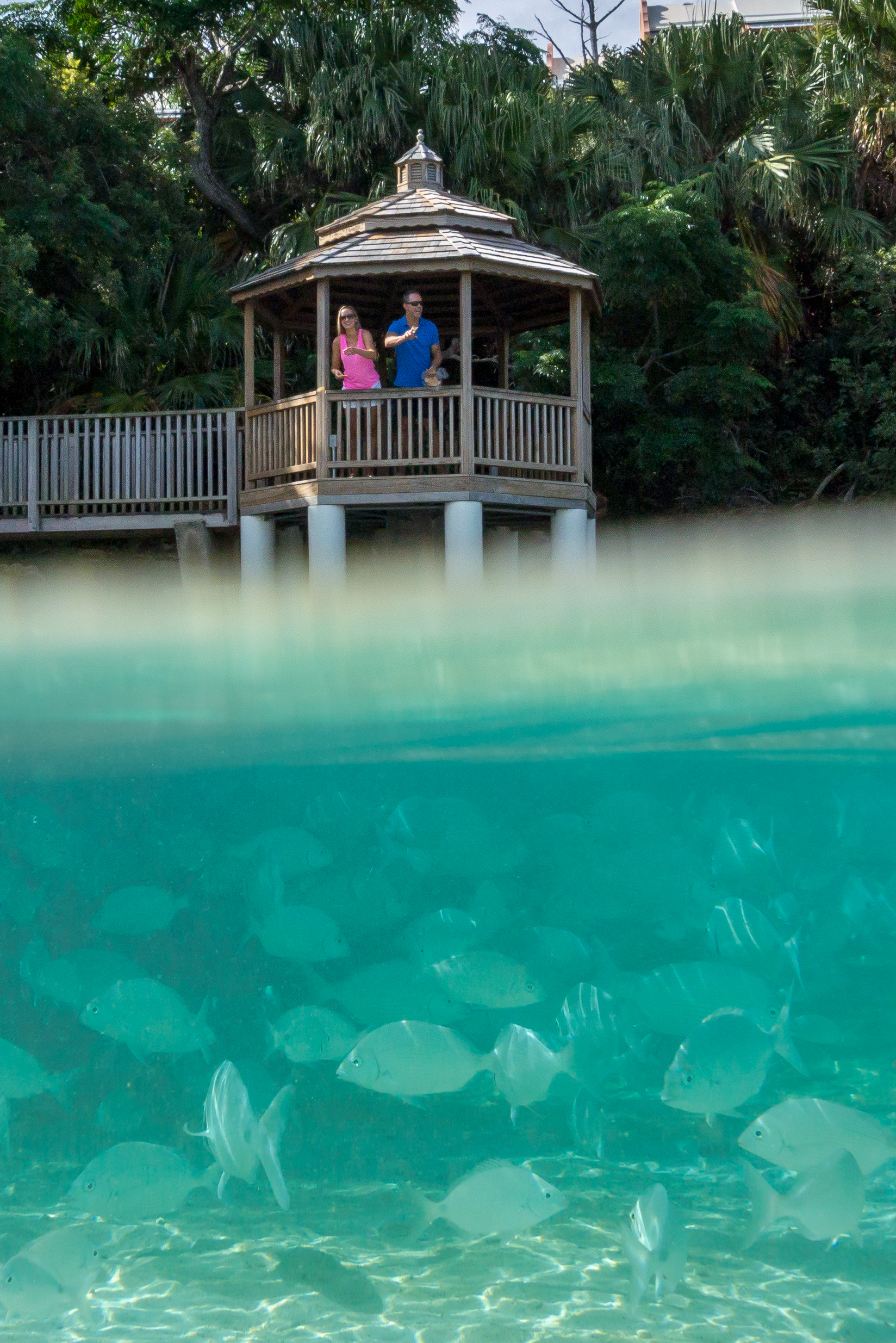 Grotto Bay Beach Resort & Spa en Bermudas