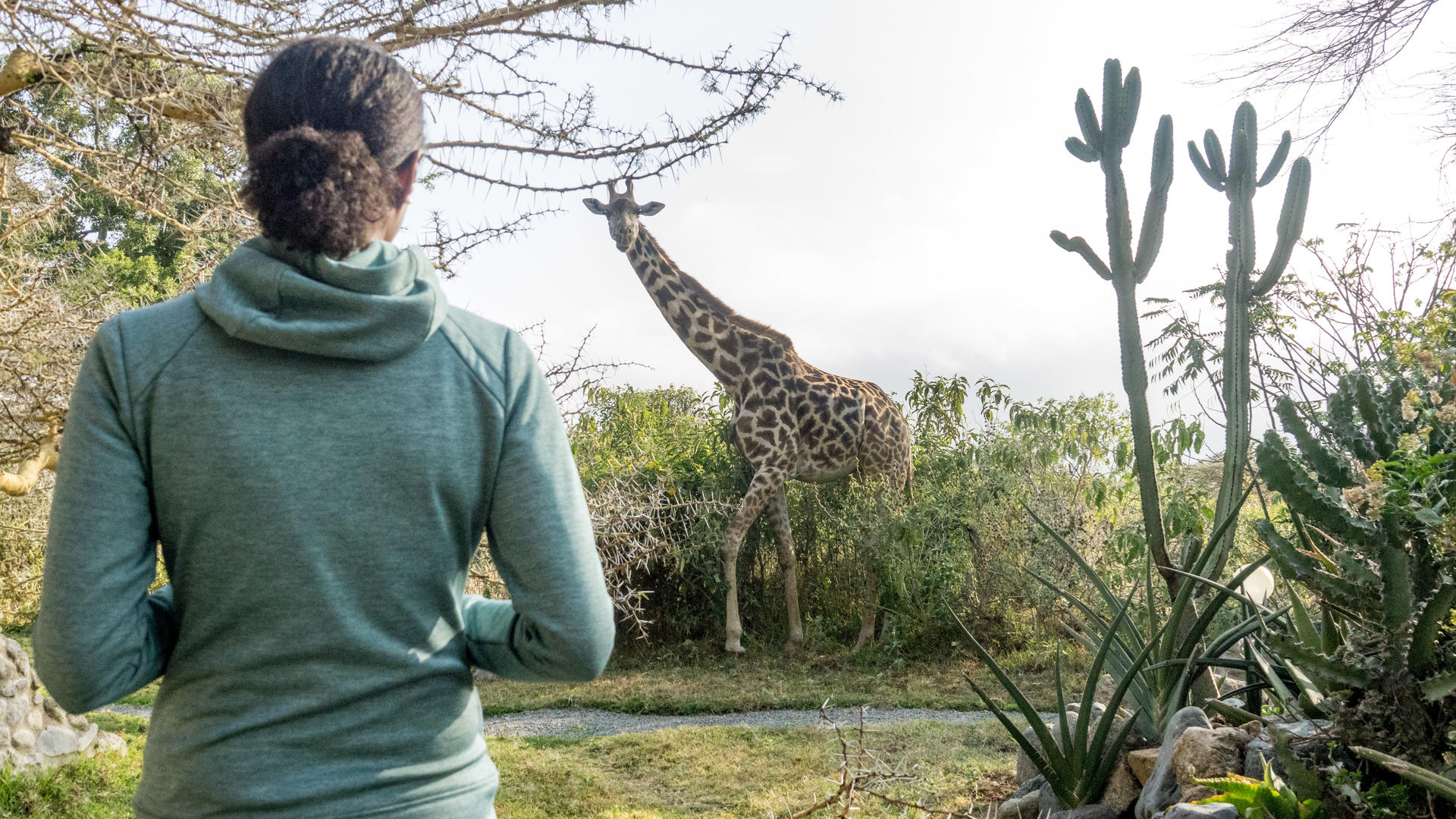 Hatari Lodge en Arusha