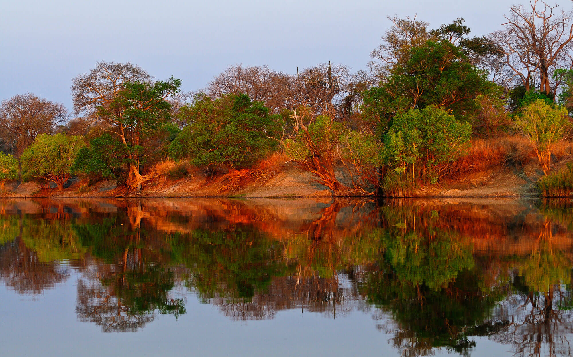 Hippo Lodge en Kafue
