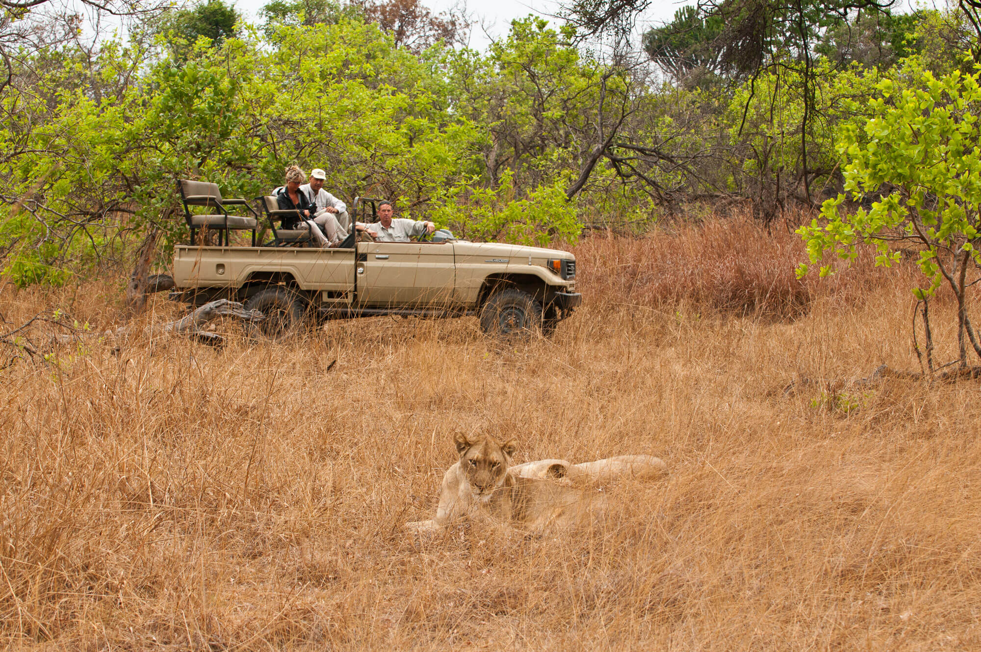 Hippo Lodge en Kafue