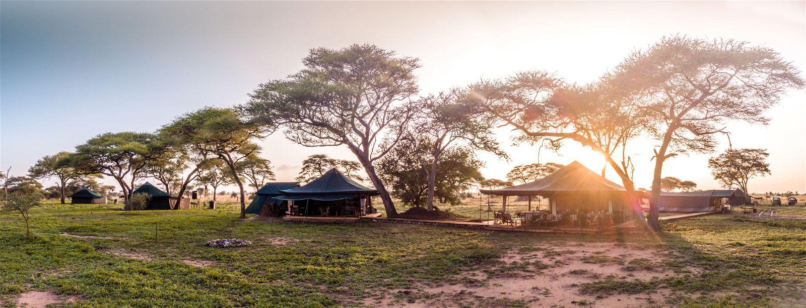 Honeyguide Tarangire Camp en su destino
