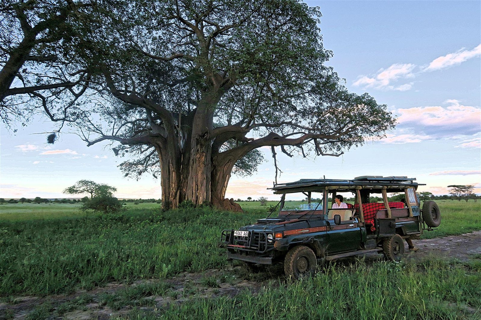 Honeyguide tarangire camp 14