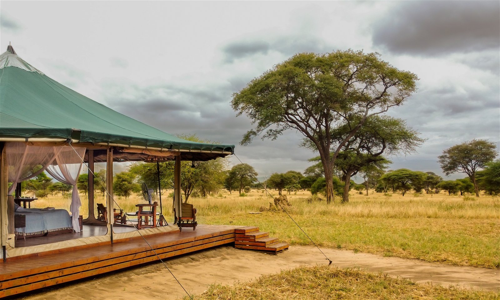 Honeyguide tarangire camp 22bd87996