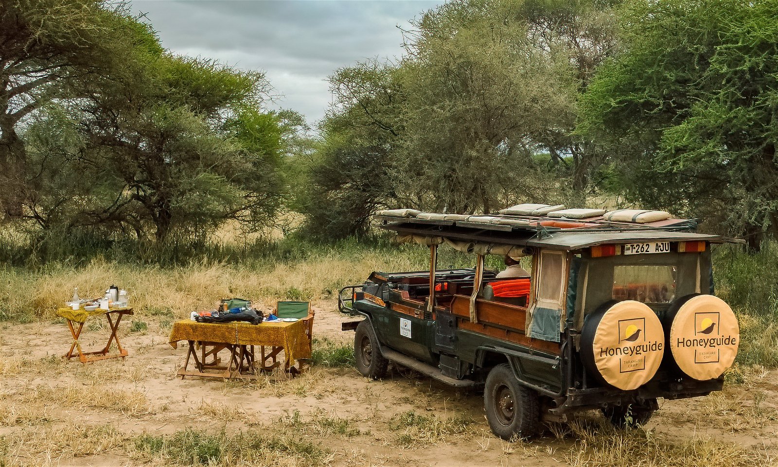 Honeyguide tarangire camp 321263297