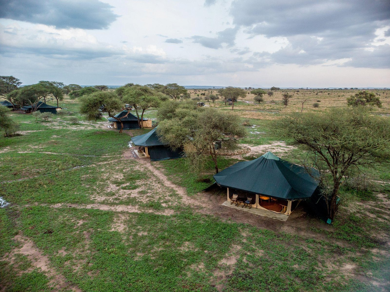 Honeyguide tarangire camp 32