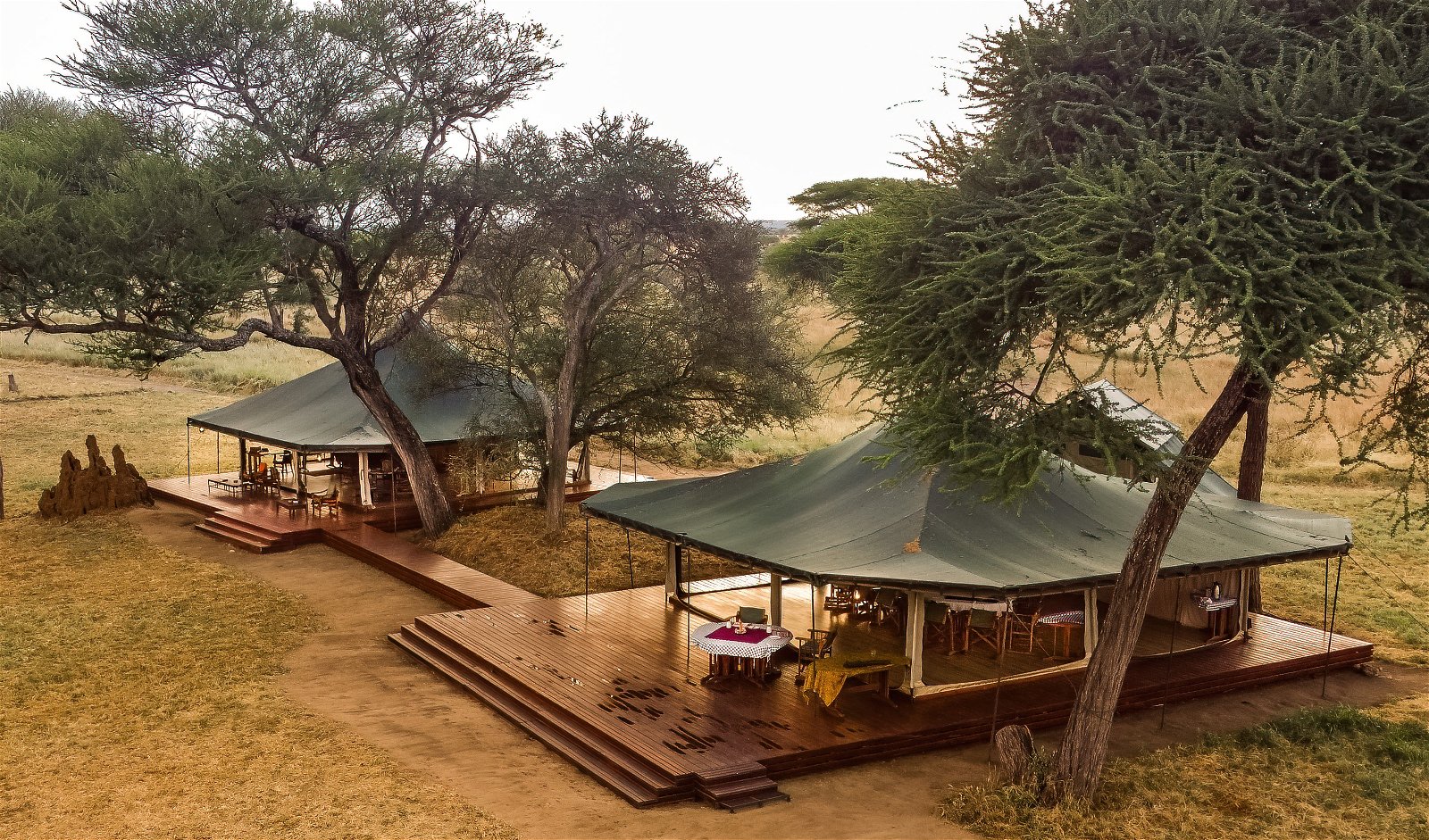 Honeyguide tarangire camp 192133dcb
