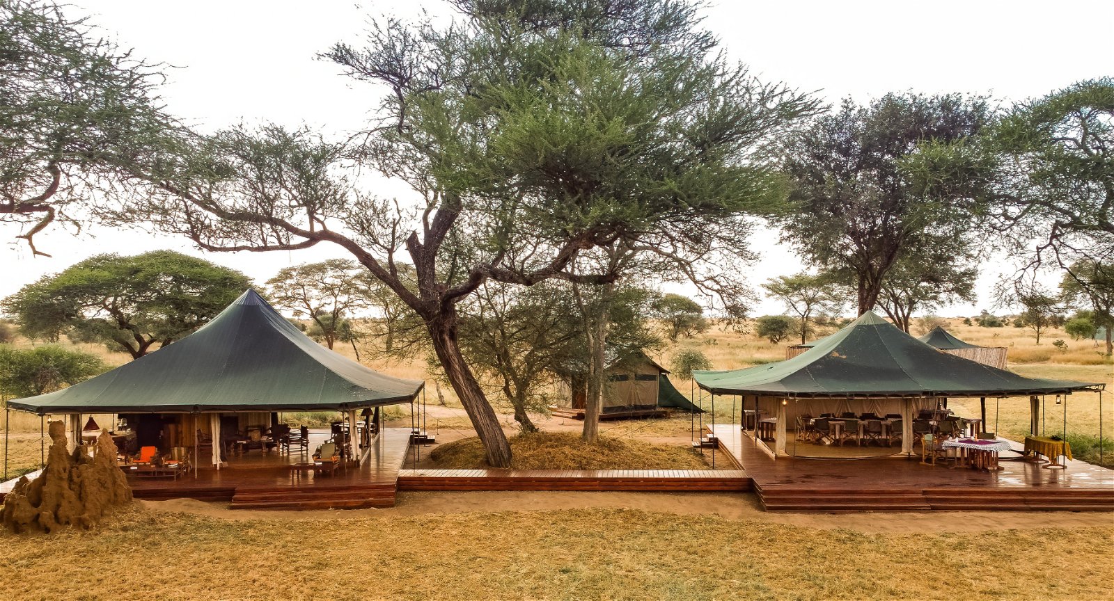 Honeyguide tarangire camp 20c6e517a