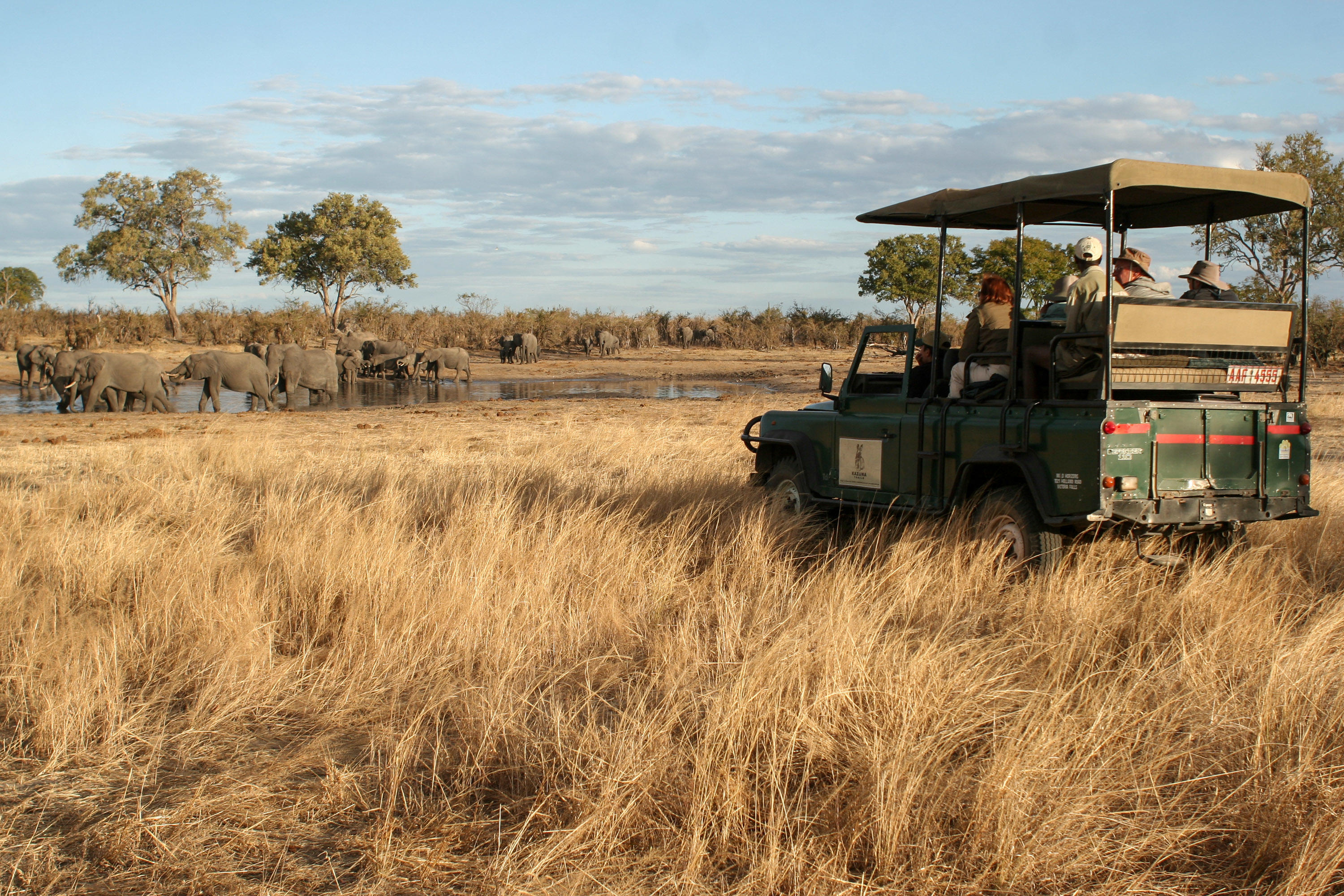 Hwange Bush Camp en Hwange