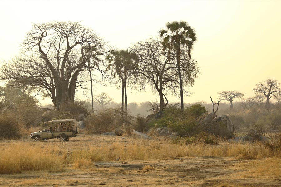 Ikuka safari camp 6