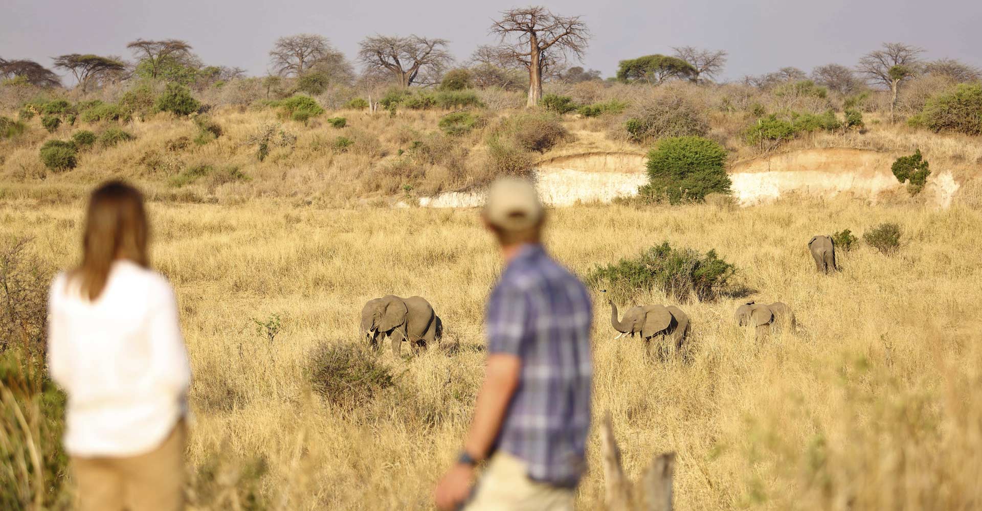 Ikuka Safari Camp en Ruaha
