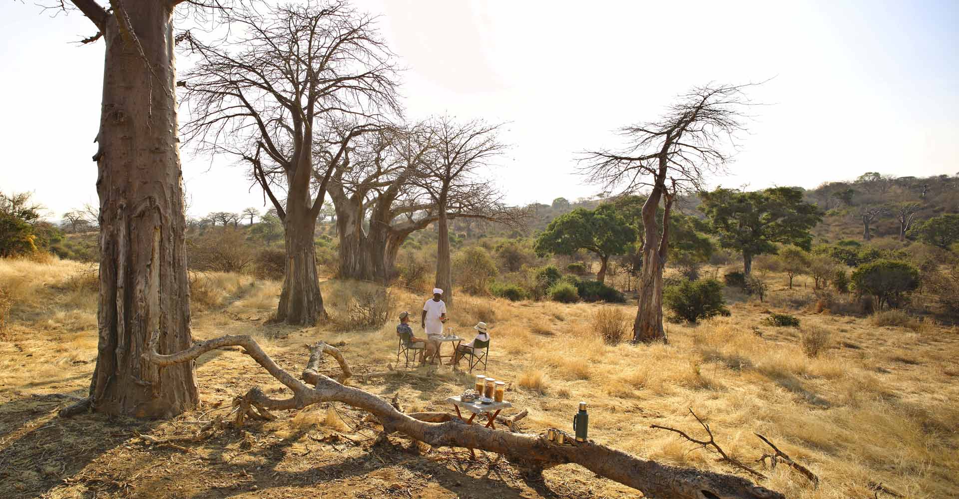Ikuka Safari Camp en Ruaha