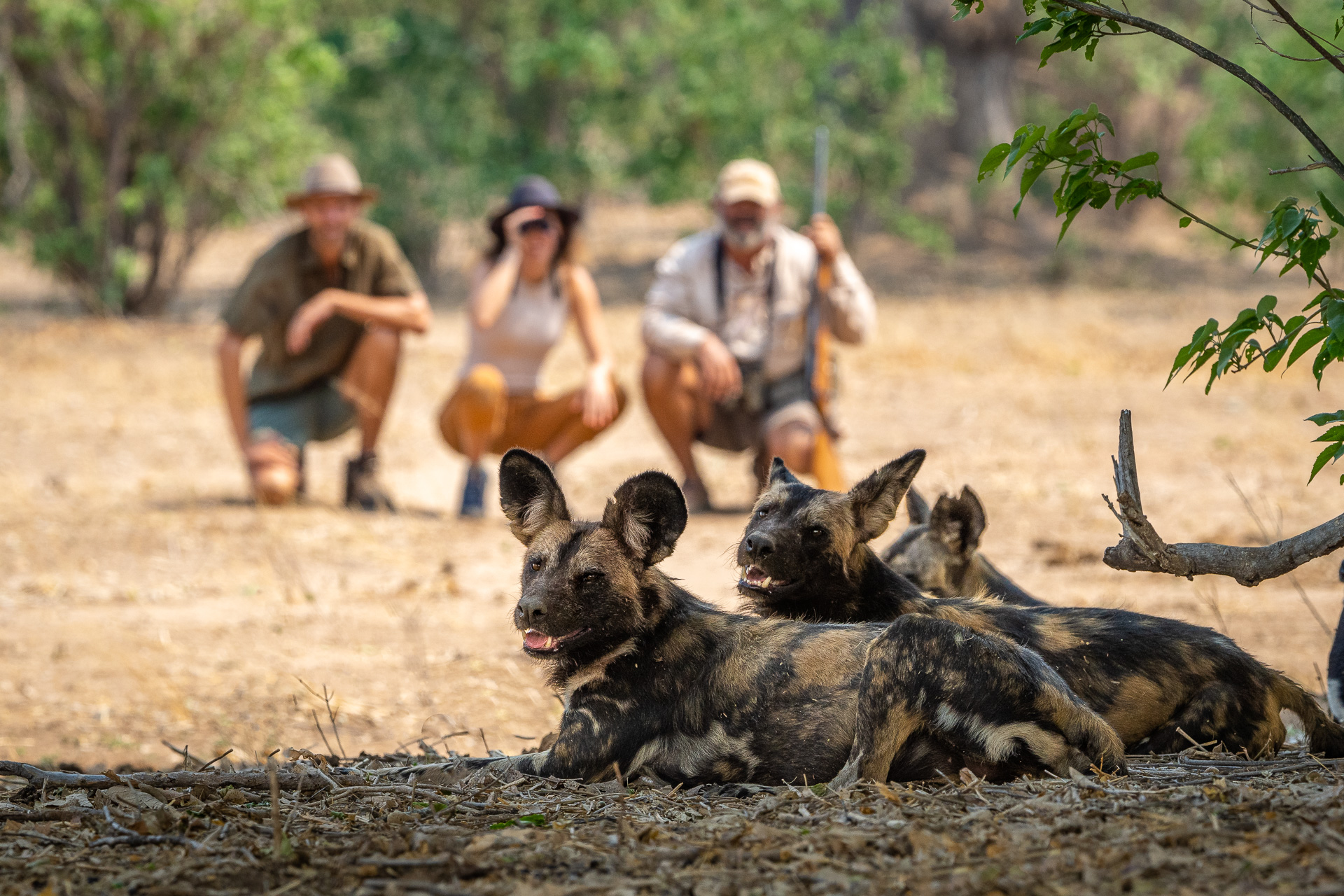 John's Camp en Mana Pools