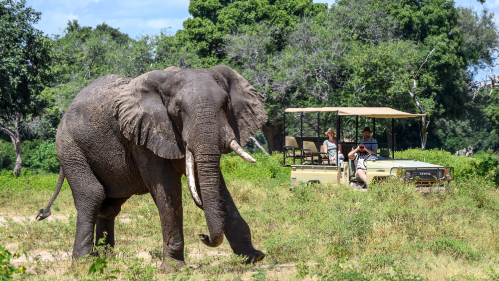 John's Camp en Mana Pools
