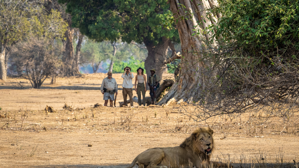 John's Camp en Mana Pools