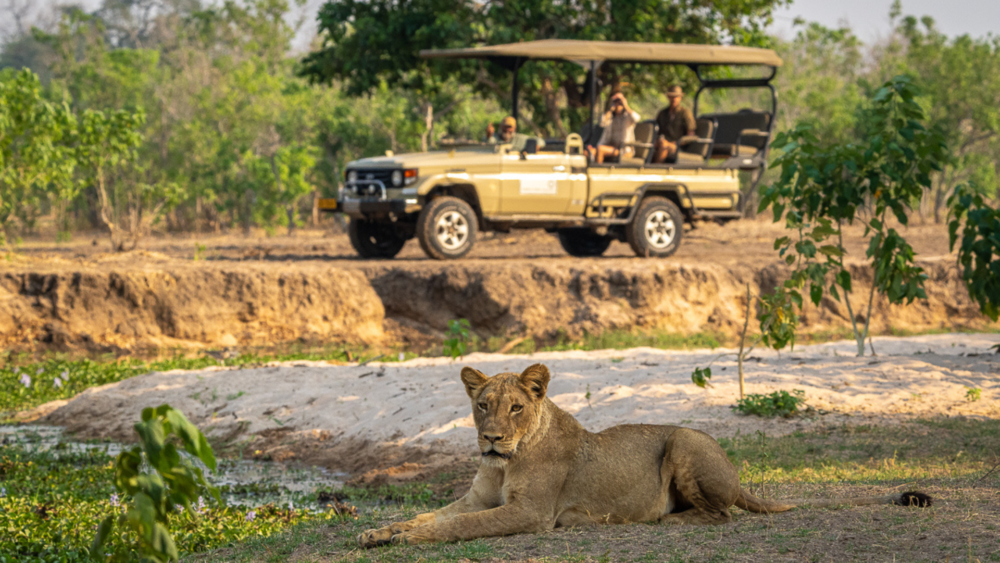 John's Camp en Mana Pools