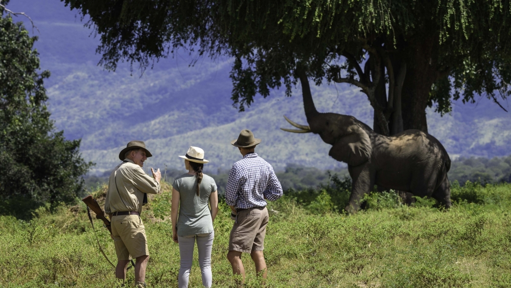 John's Camp en Mana Pools