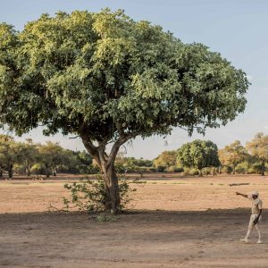 Kafunta Sunset House en Luangwa Valley