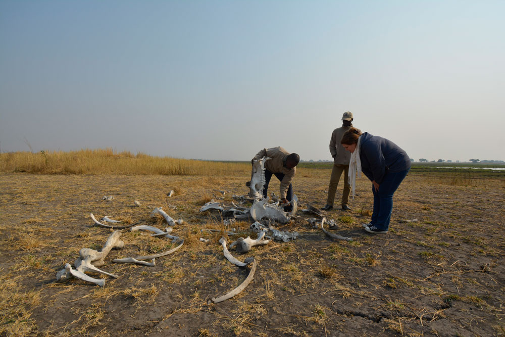 Kasonso Busanga Camp en Busanga Plains