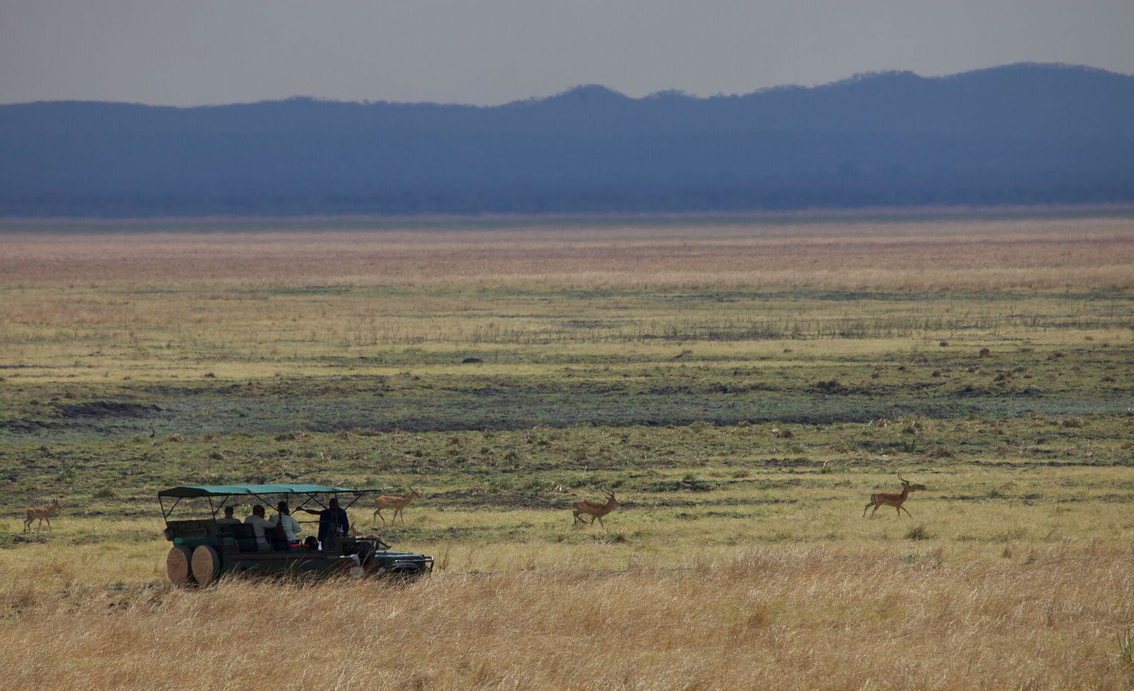 Katavi Wildlife Camp en Katavi