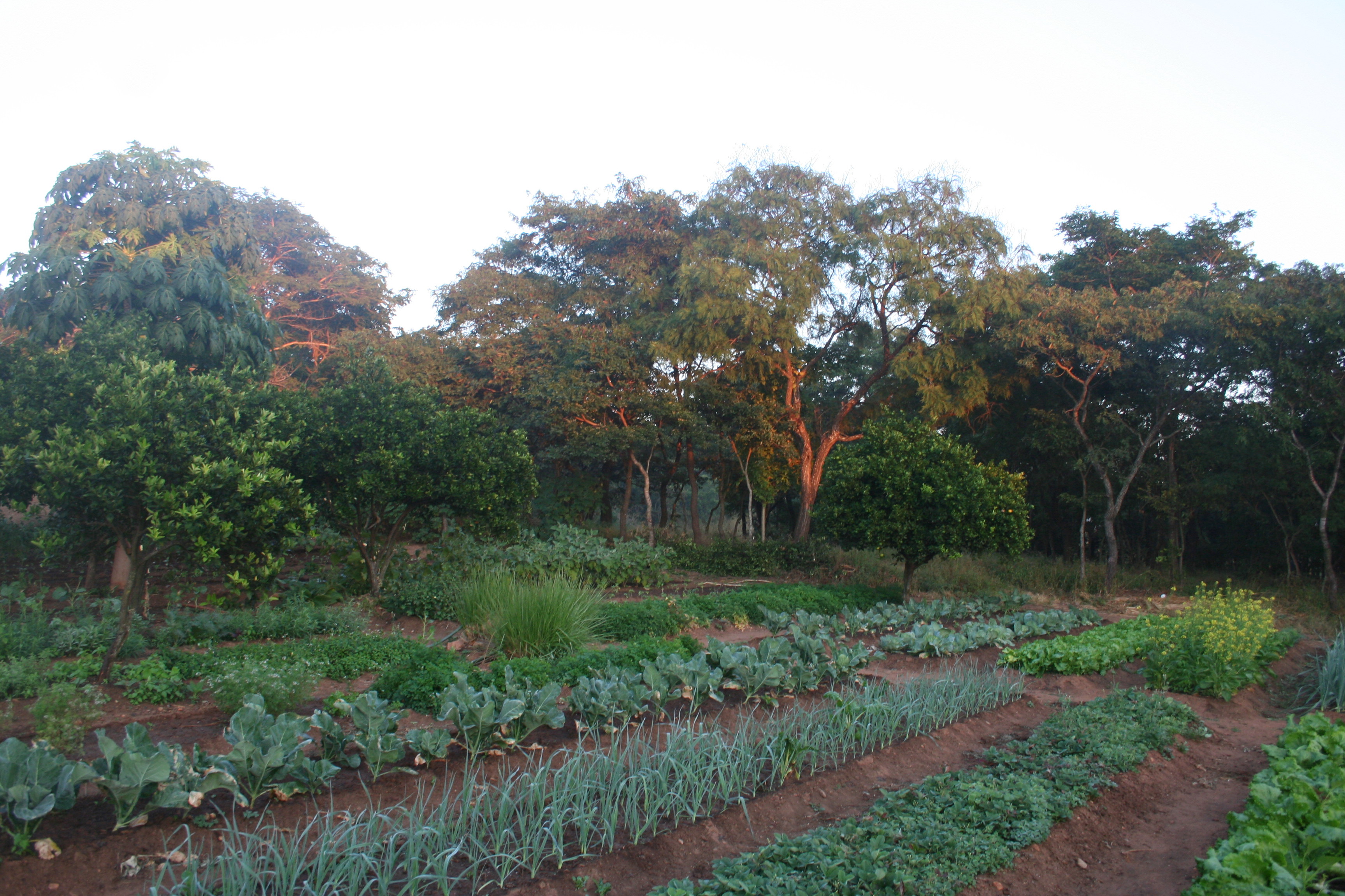 Kumbali Country Lodge en Lilongwe