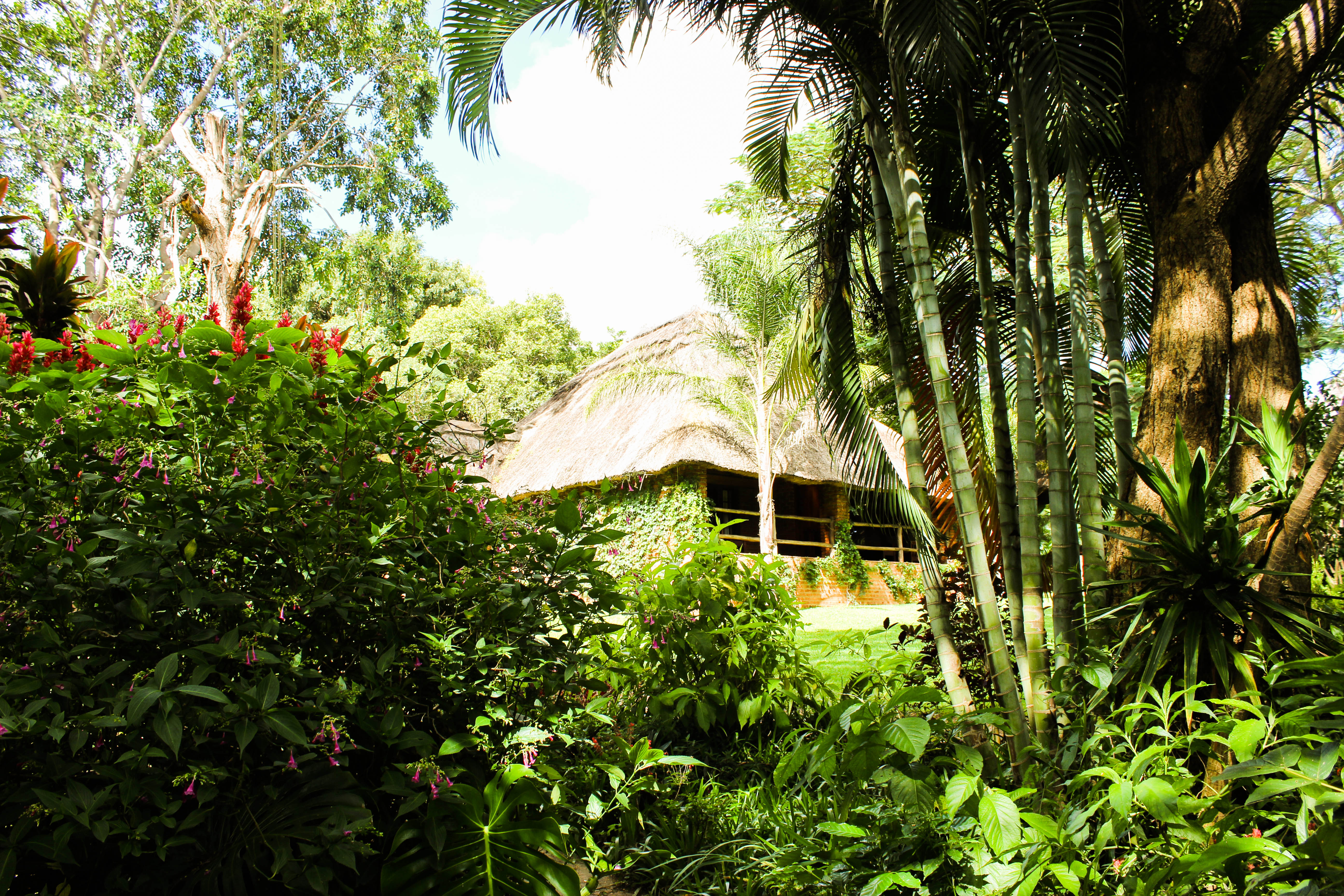 Kumbali Country Lodge en Lilongwe
