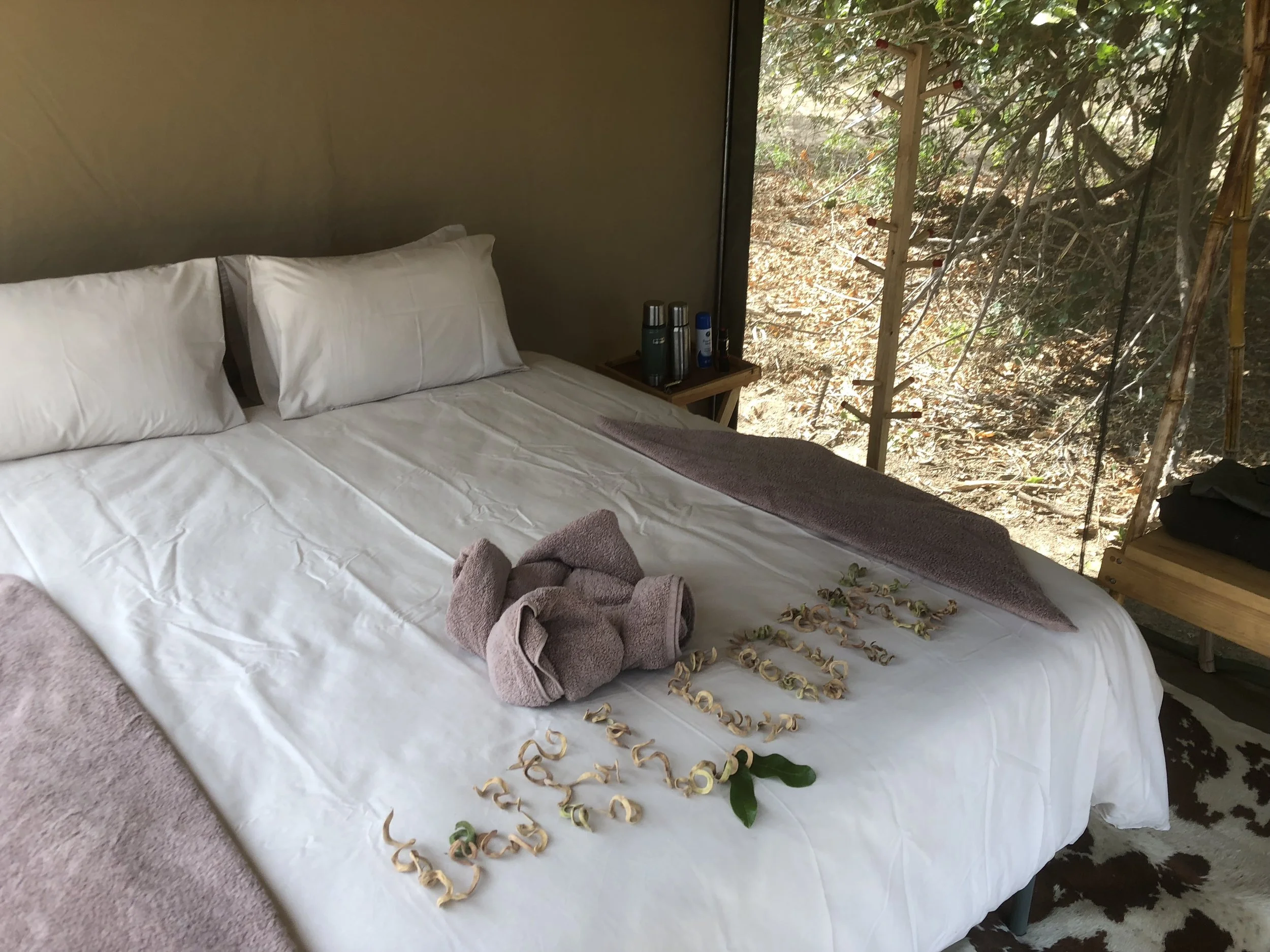 Lower+zambezi+fly+camp+tent+4