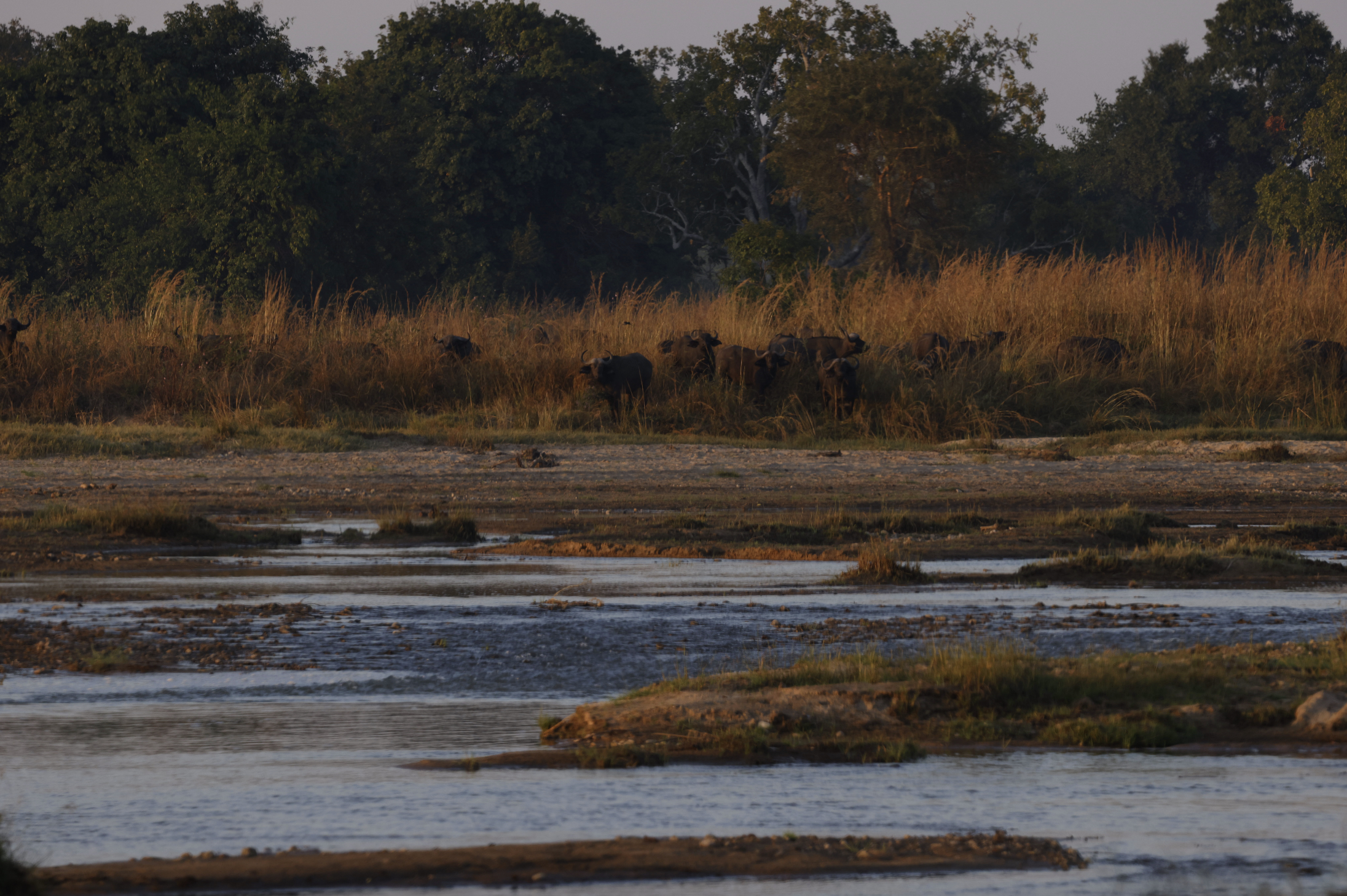 Kutandala Camp en North Luangwa