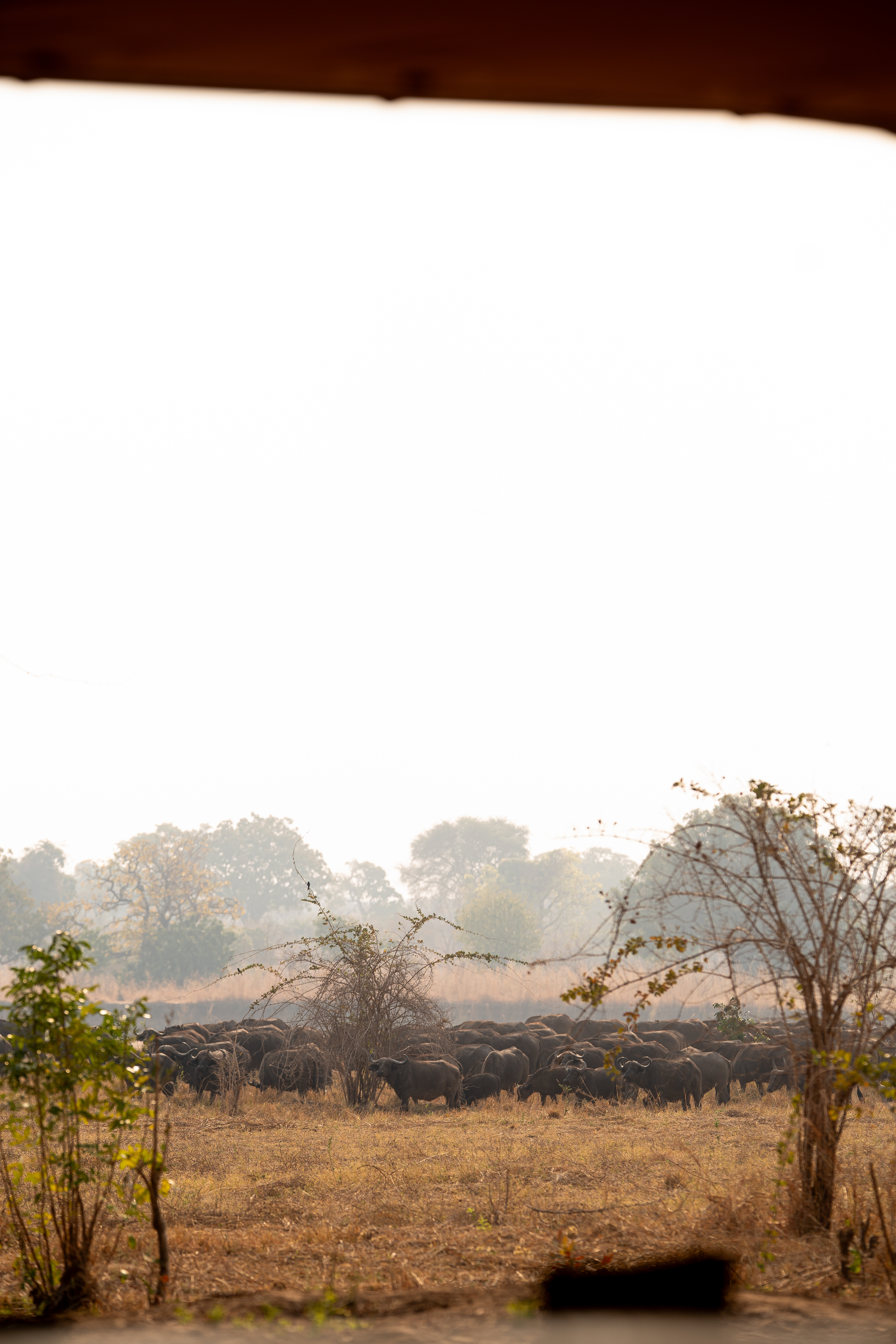 Kutandala Camp en North Luangwa