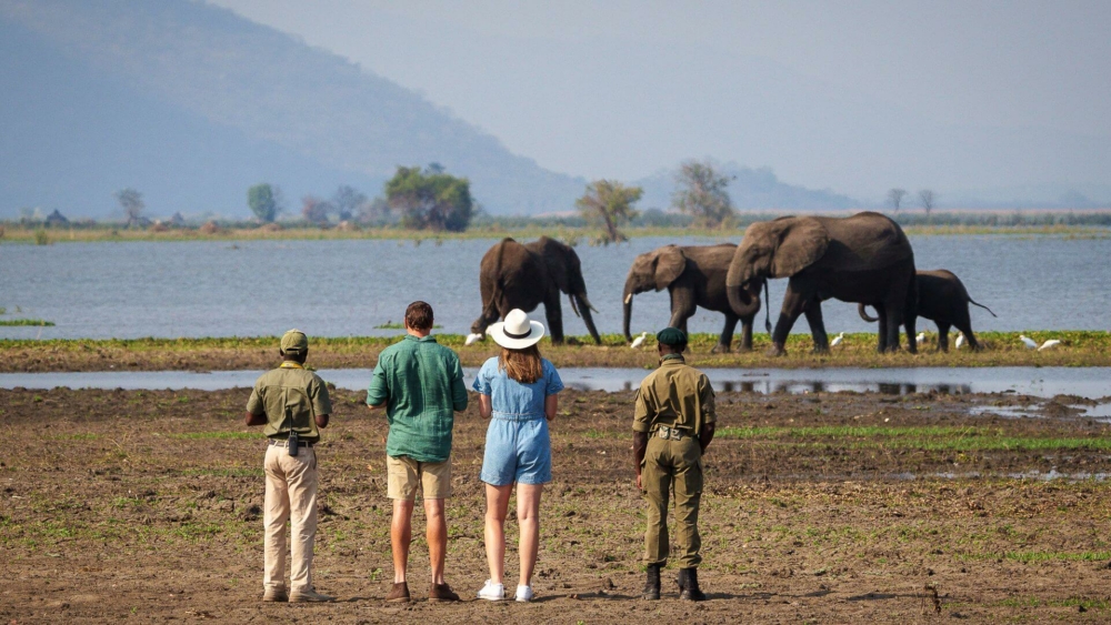 Kuthengo Camp en Parque Nacional de Liwonde