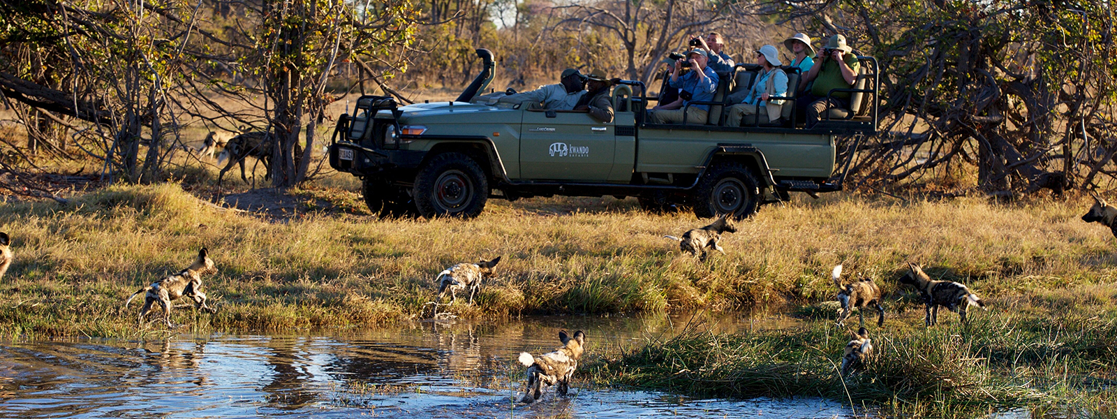 Kwara game drive wild dogs banner 2