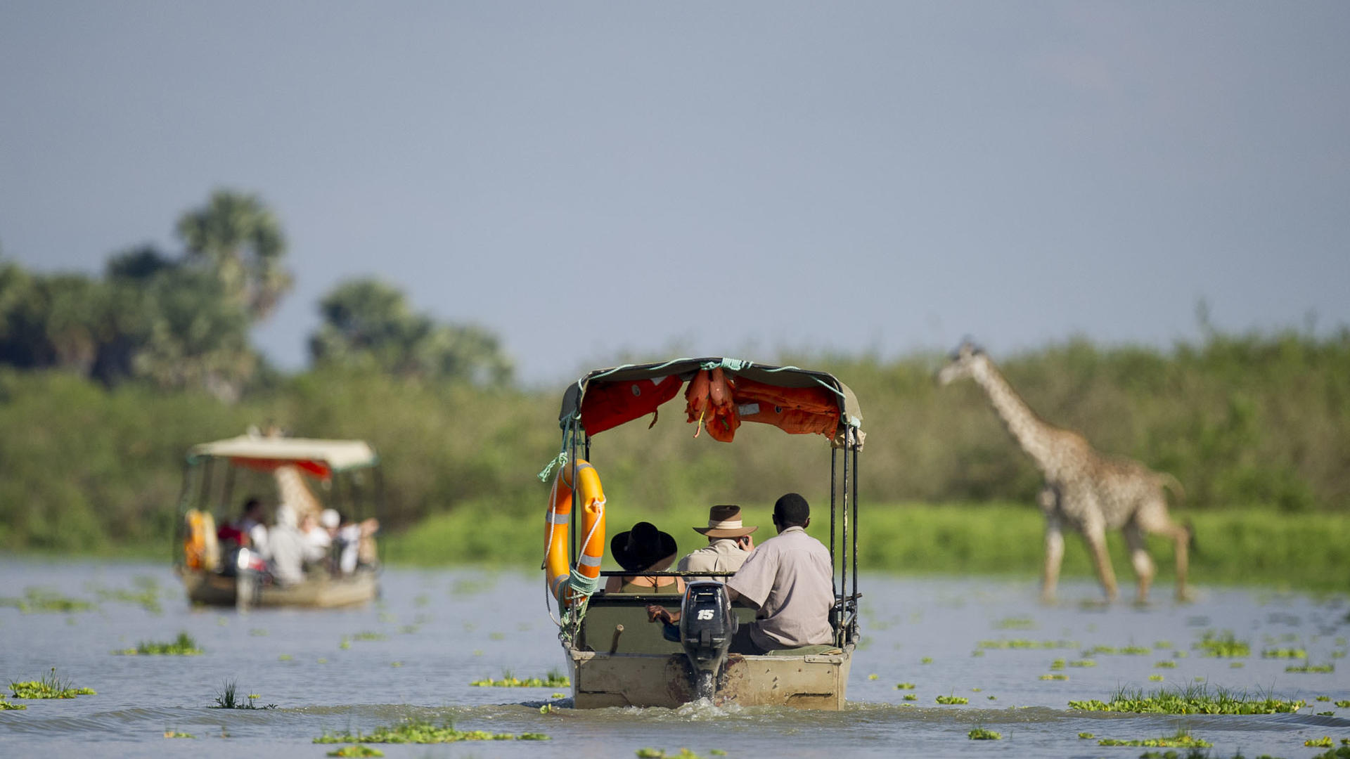 5 boat safari 31