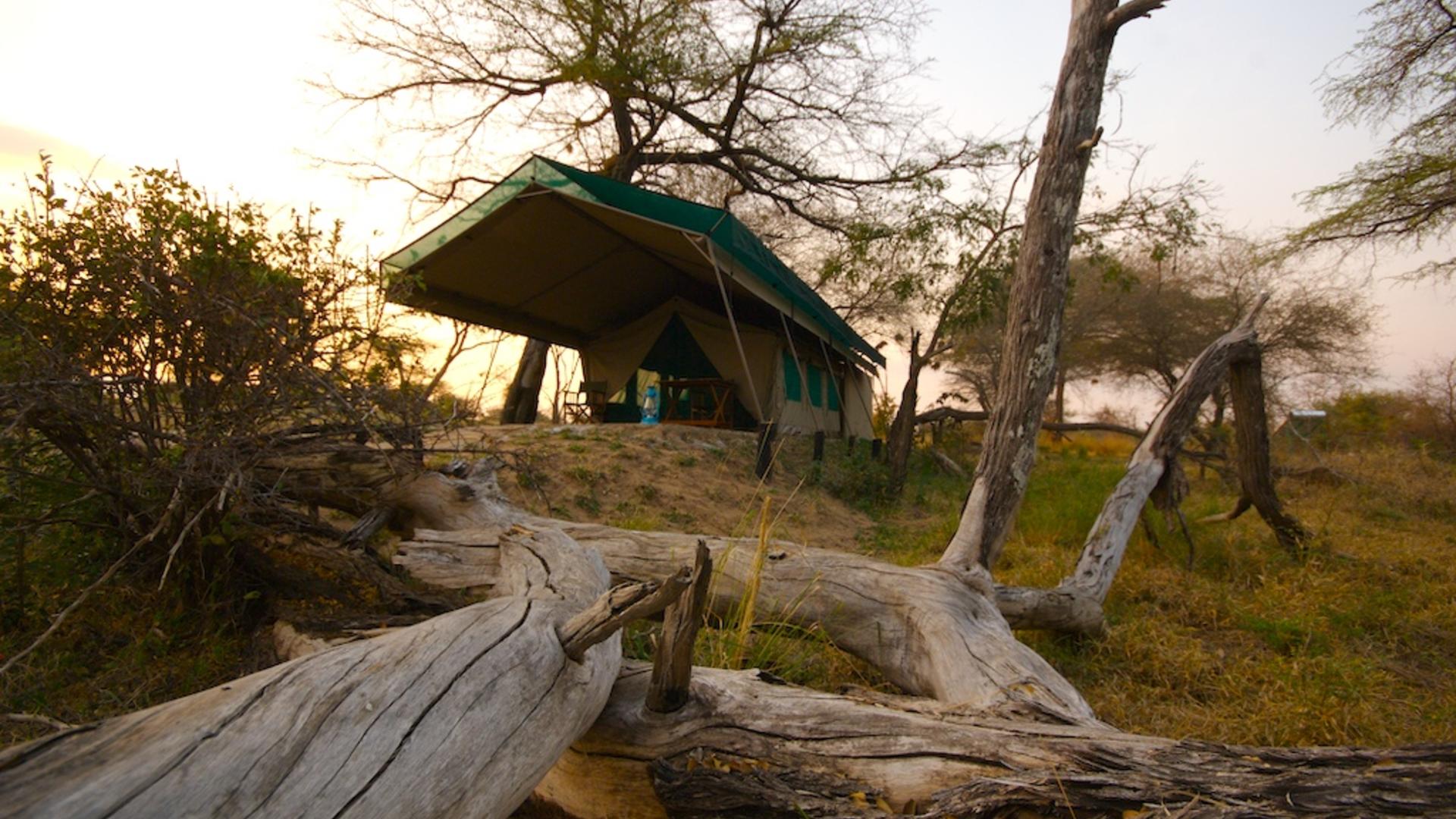 Lake Manze Camp en Selous Reserve