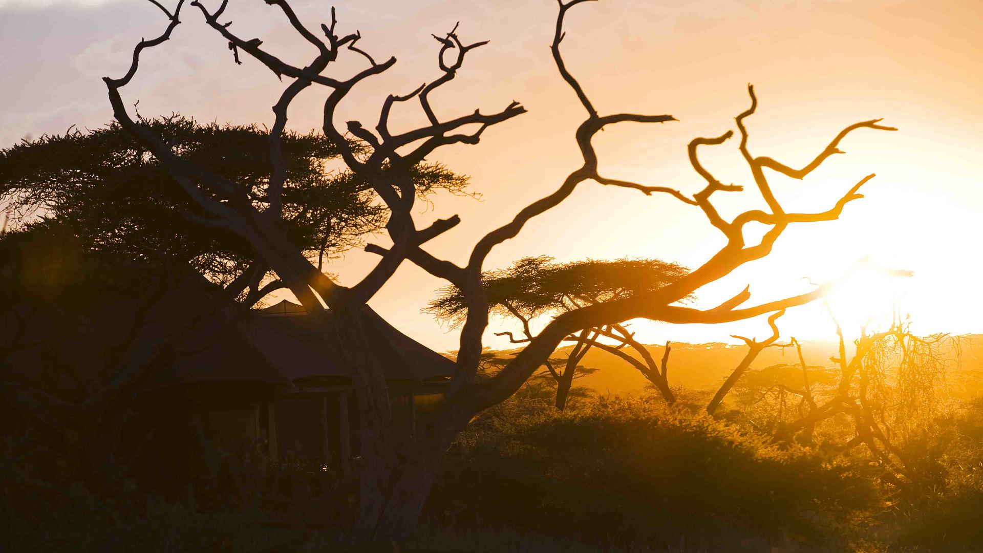 Lake Masek Tented Lodge en Ngorongoro
