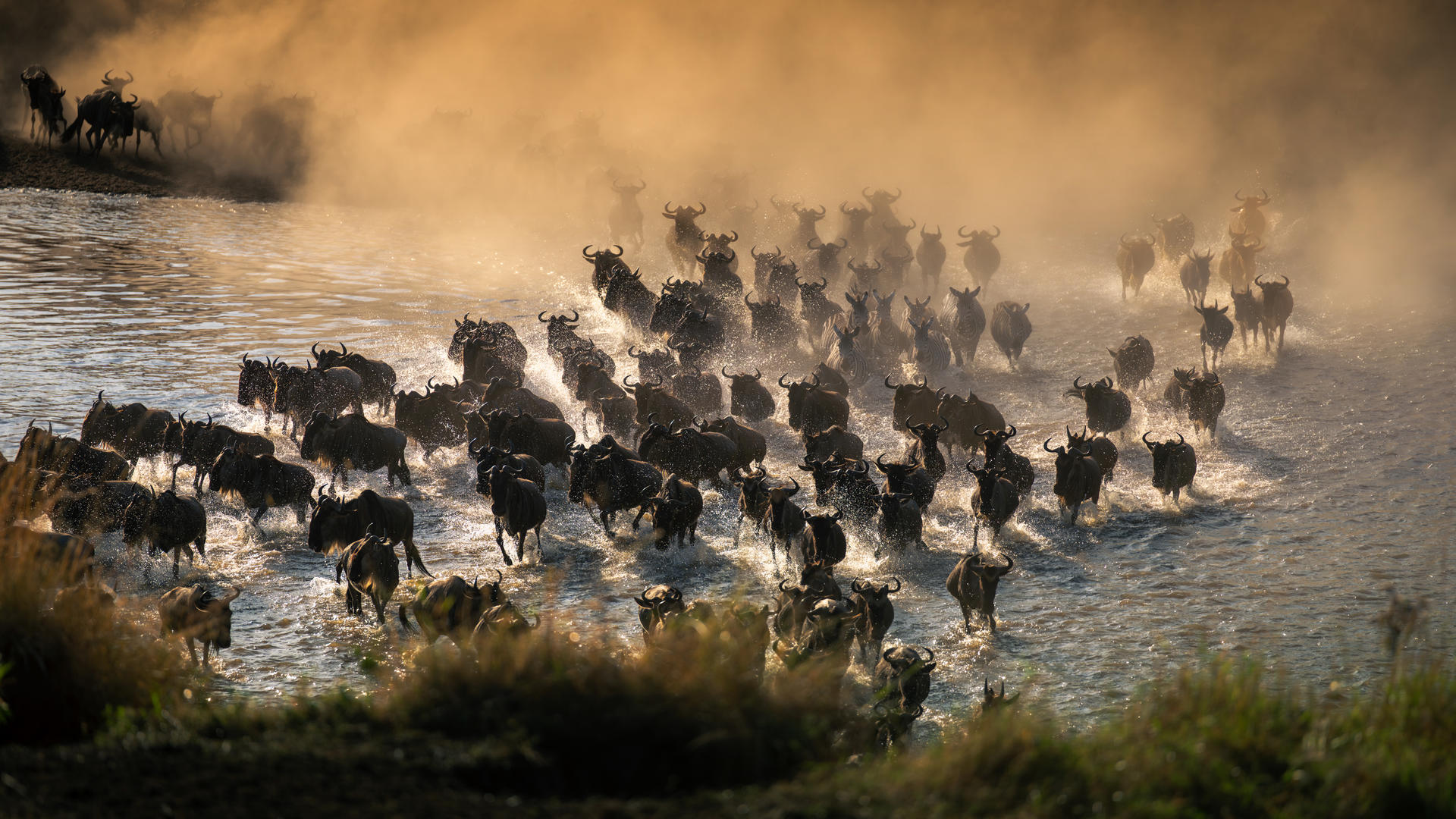 Legendary Nyasi Tented Camp en Serengeti