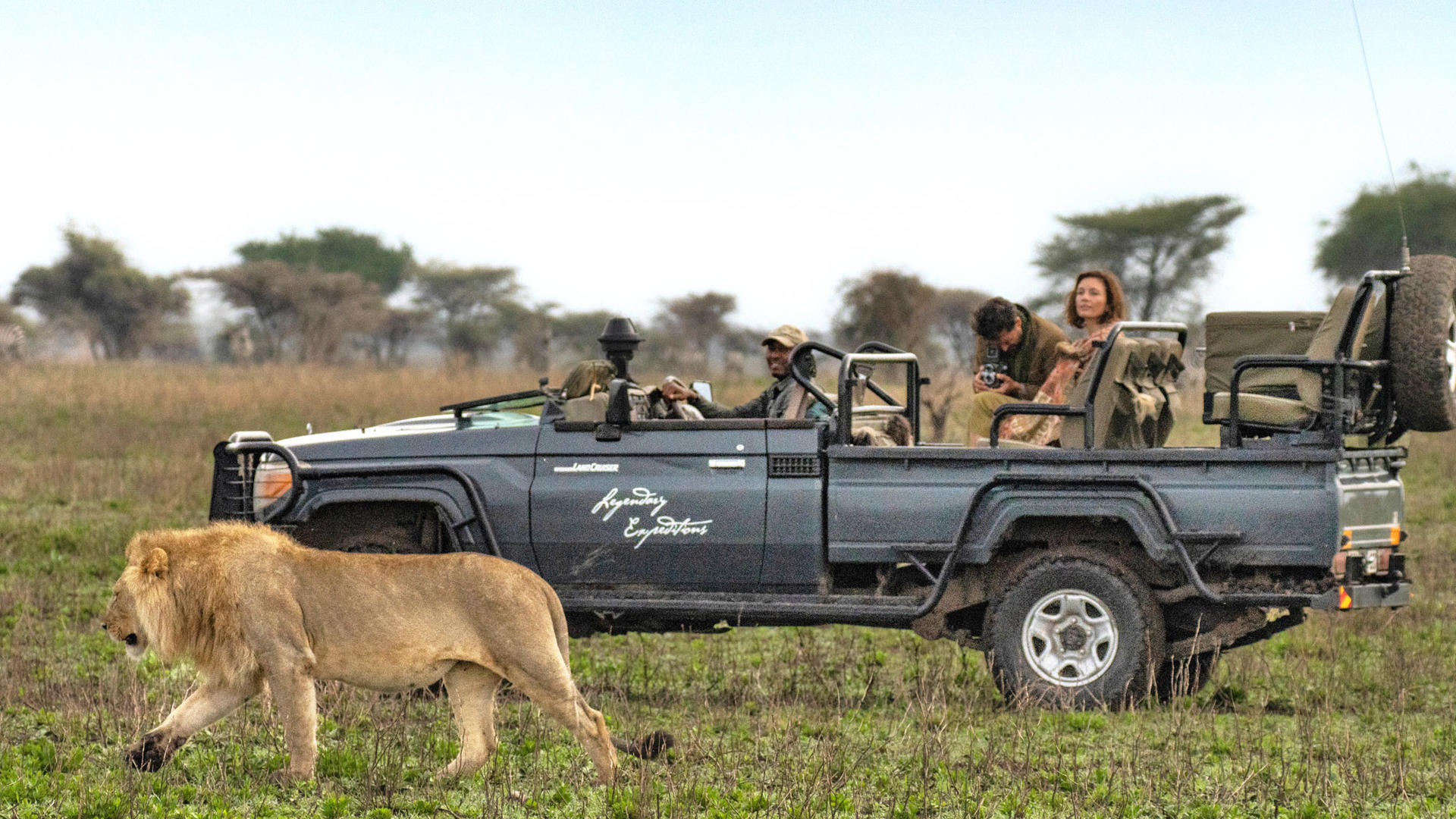 1740938266961 nyasi tented camp game viewing