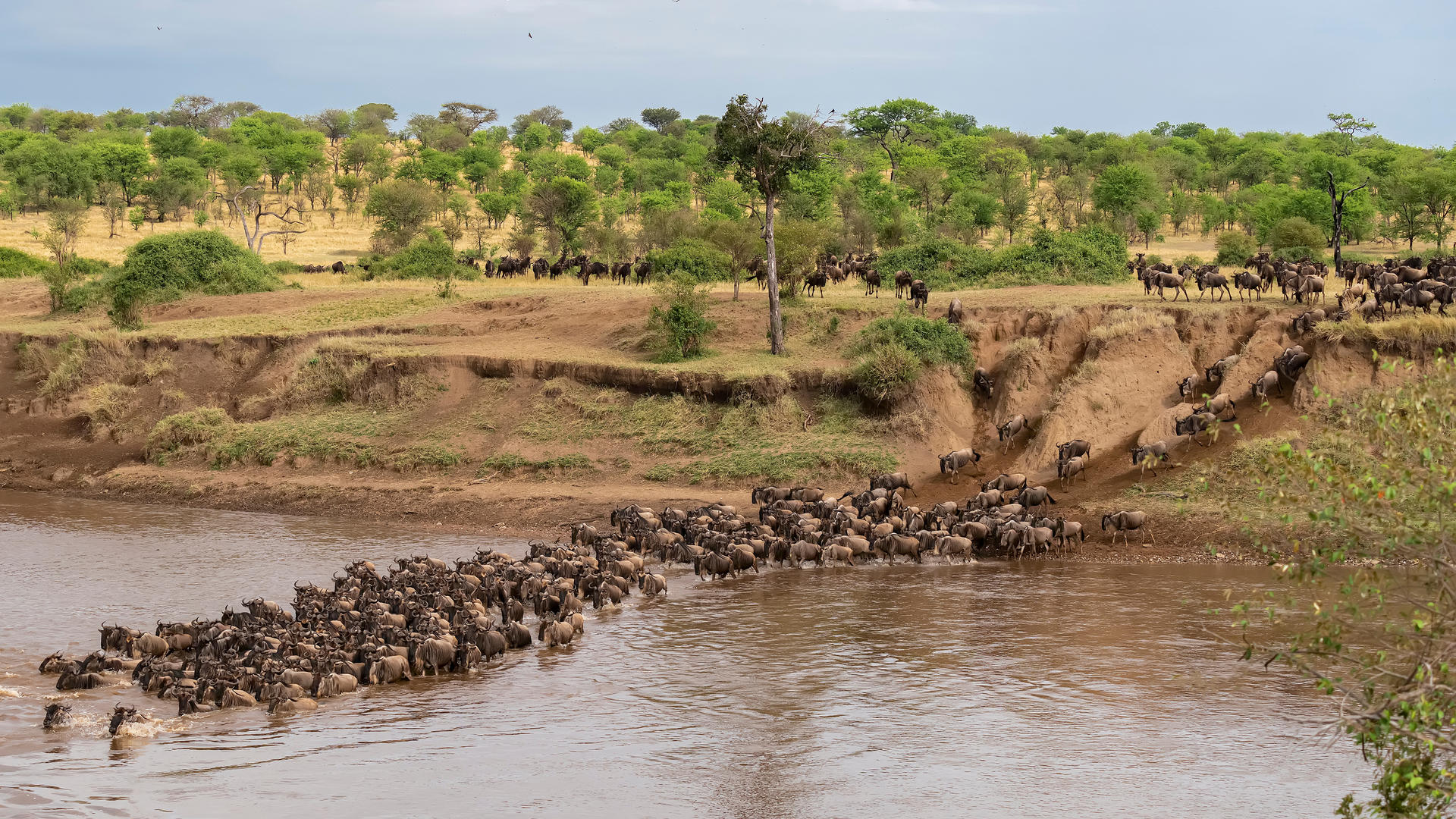 Legendary Nyasi Tented Camp en Serengeti