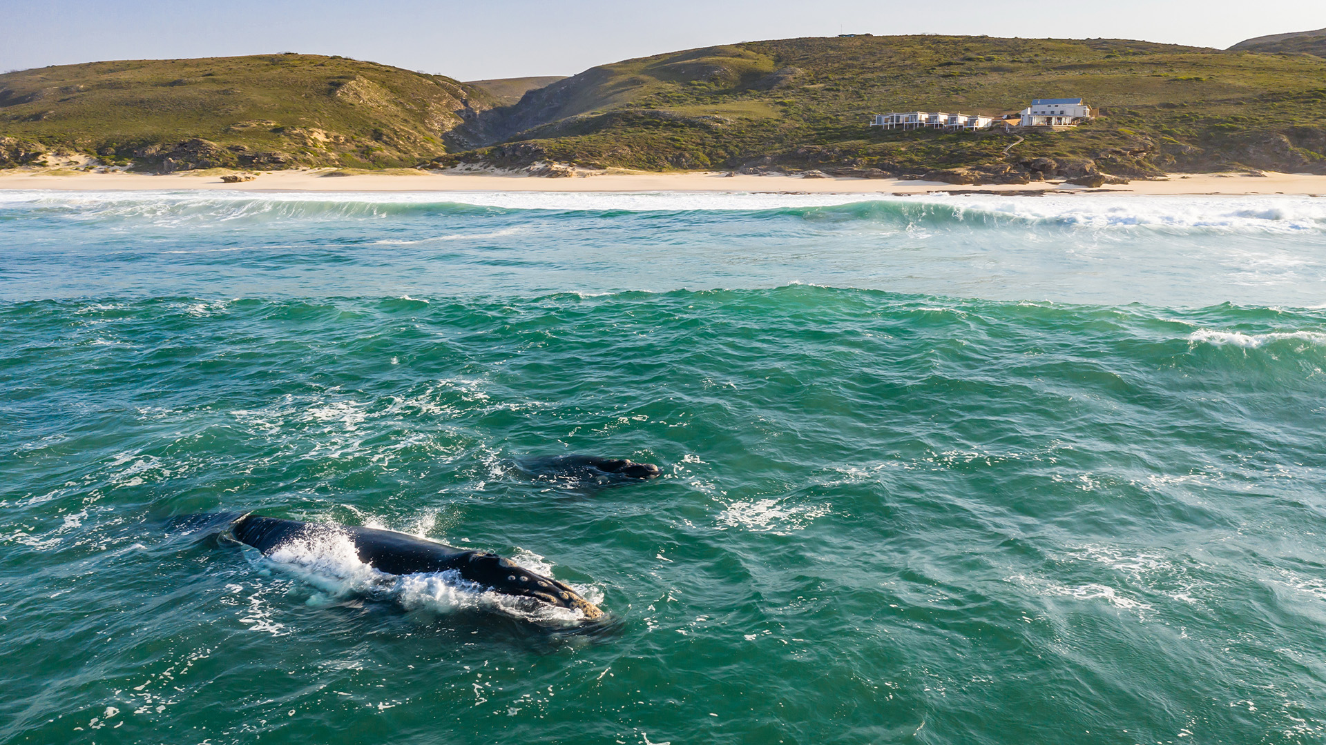 Lekkerwater Beach Lodge at De Hoop | LAT.40