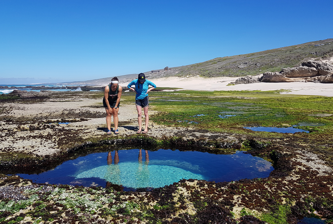 Mulitpurpose 1100x740 0004 sa lekkerwater colin bell l4 rockpool9