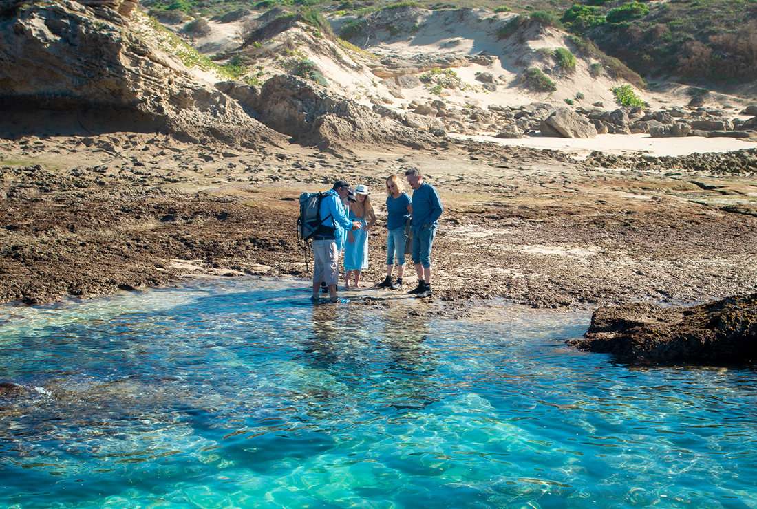 Mulitpurpose 1100x740 0007 01 lekkerwater beach lodge rock pool exploration