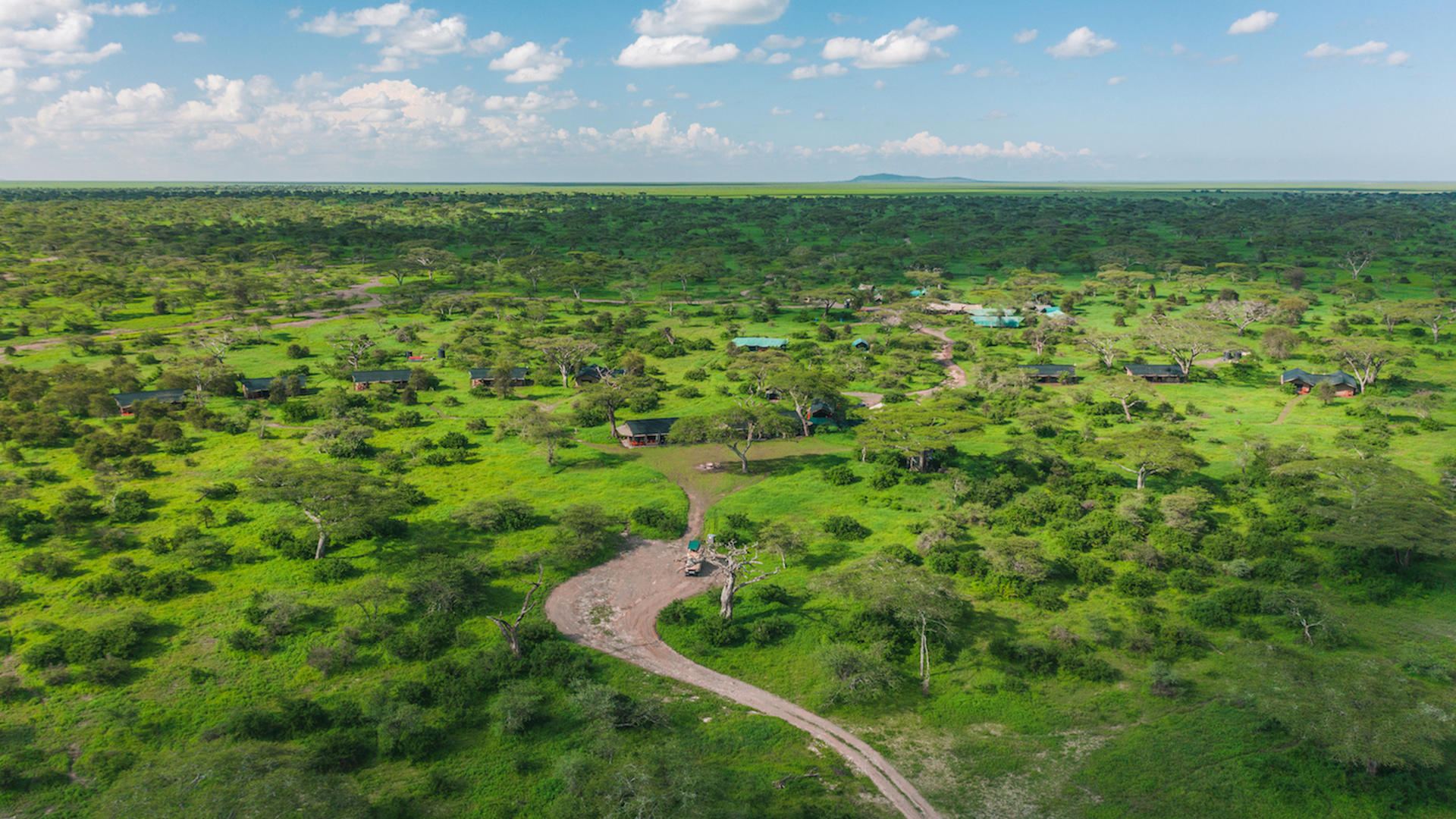 Lemala mara ndutu 15 copy