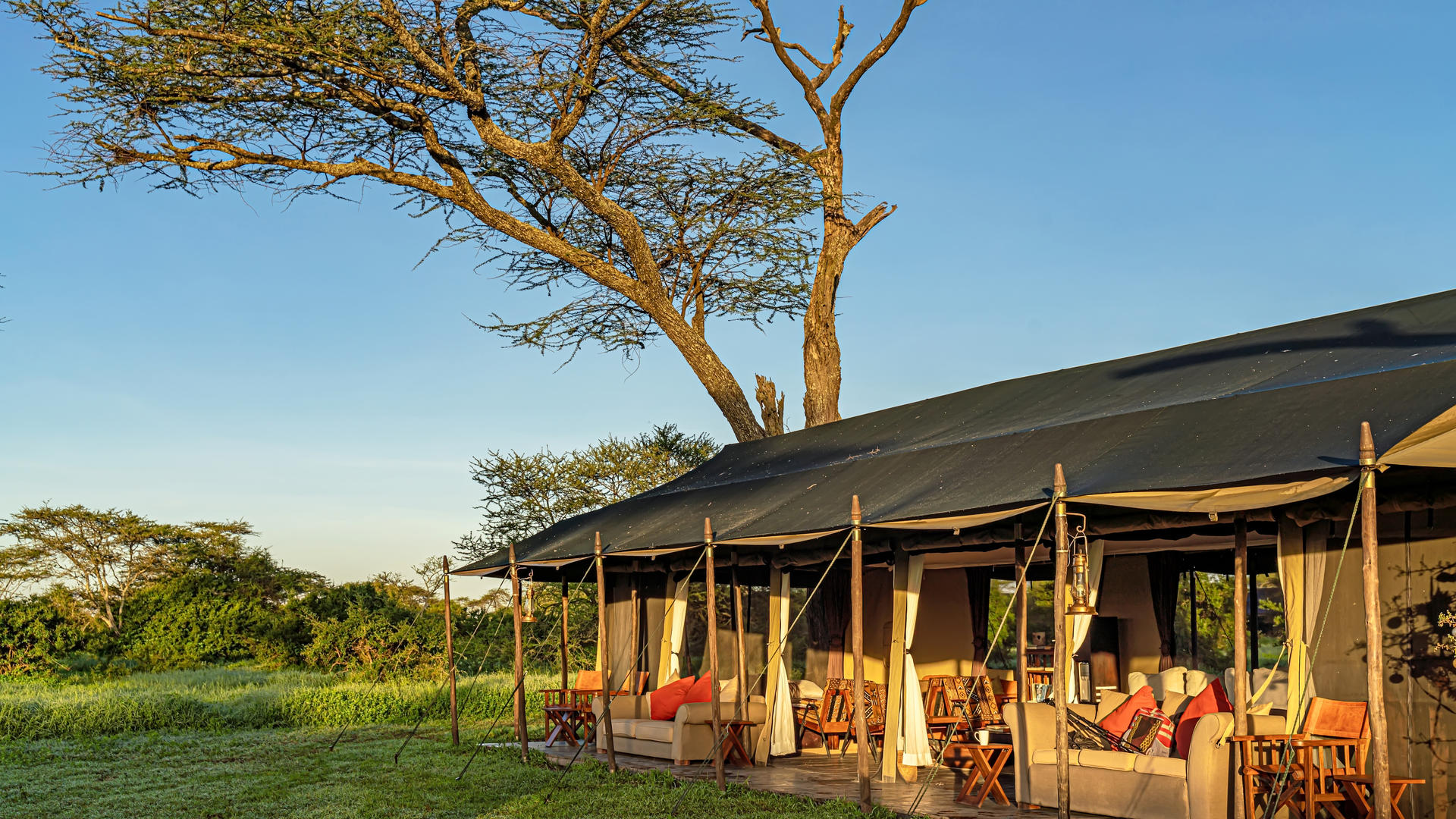 Lemala mara ndutu 5 copy