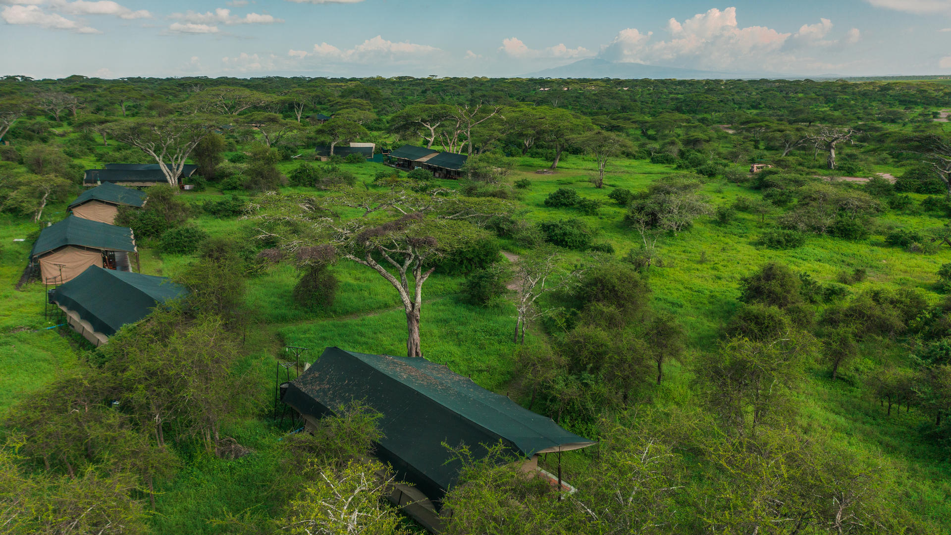 Lemala ndutu