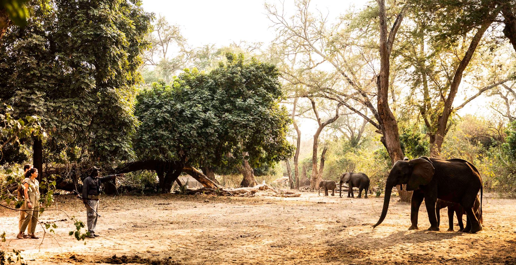 Little Ruckomechi Camp en Mana Pools