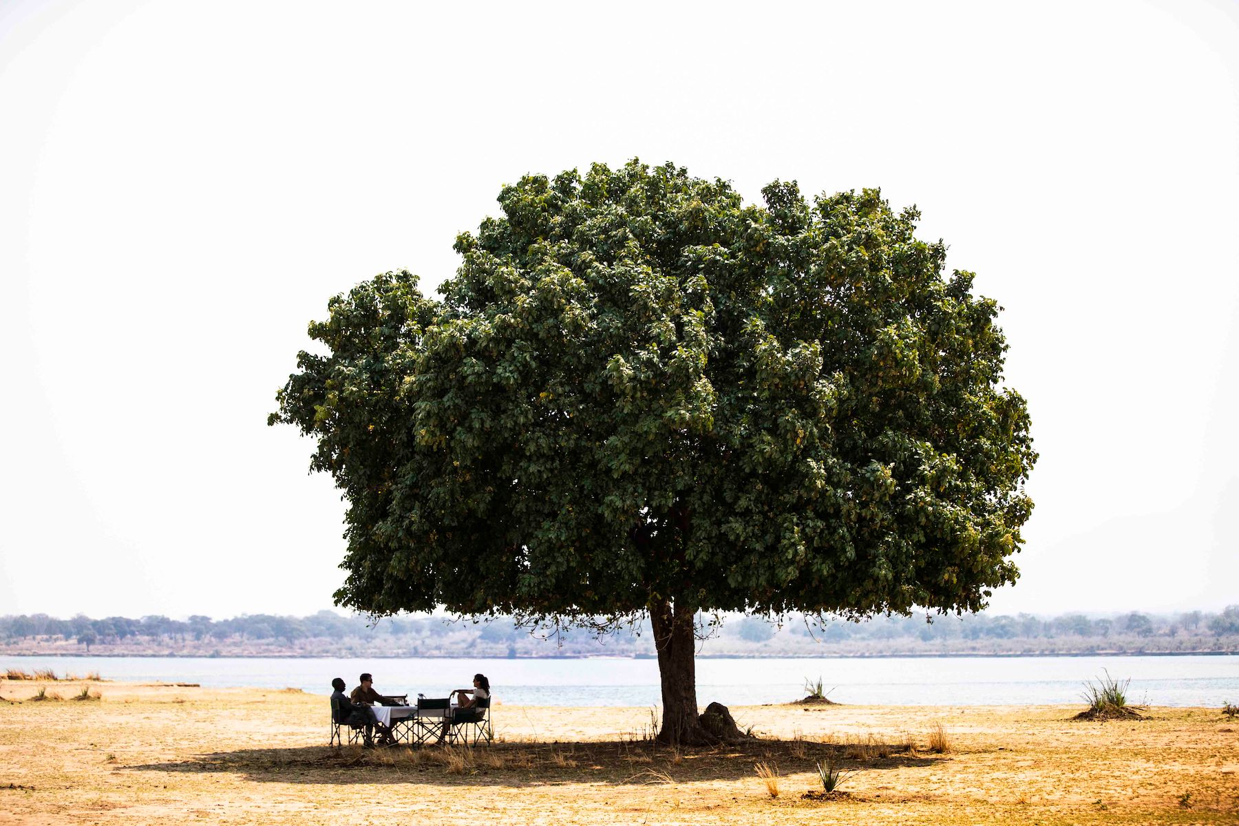 Little Ruckomechi Camp en Mana Pools