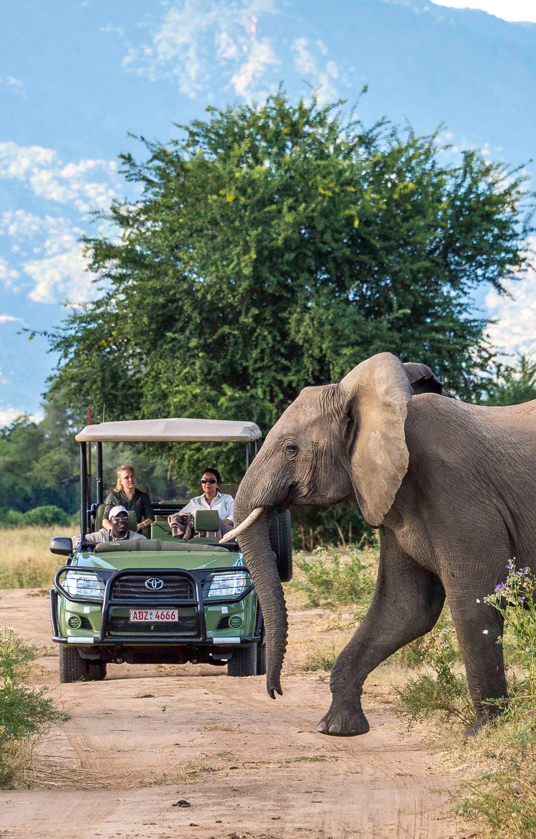 Little Ruckomechi Camp en Mana Pools